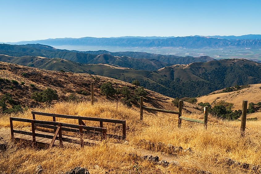 Fremont Peak State Park in California.