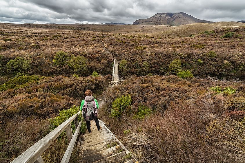 Tongariro national park in New Zealand