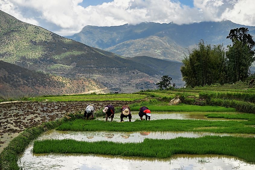 Bhutan