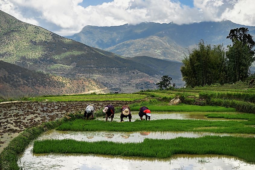 Bhutan 