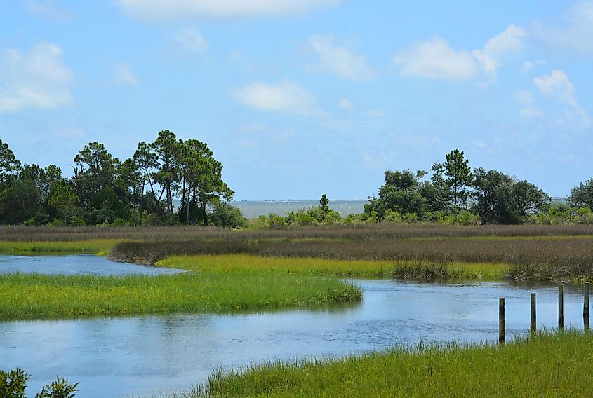 The stream flows to the St. George Sound near Carrabelle, Florida.