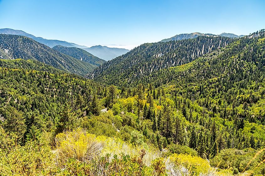 View down the Big Bear Creek Valley in San Bernardino National Forest