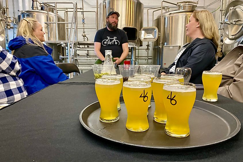 46 North brewery tour Graham Orser Image credit Bryan Dearsley