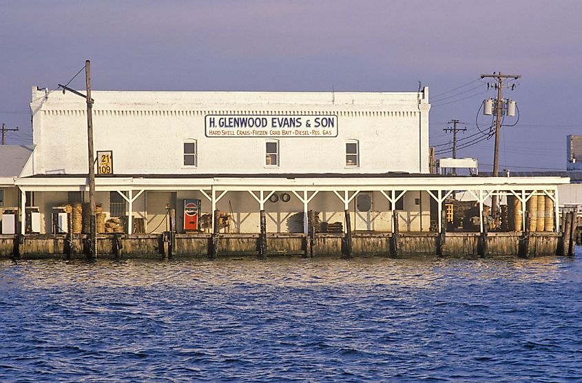 A Harbor in Crisfield, Maryland