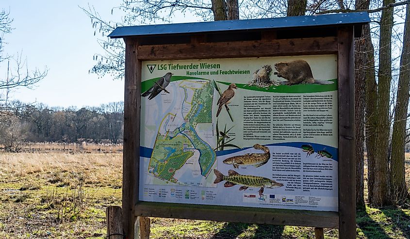 Many animal species live in the wetlands around the Havel River. Panels provide information about the resident wildlife in the capital.