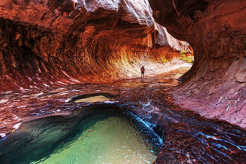 Zion National Park includes a variety of natural, water-carved features, including deep, steep, narrow canyons like this one.