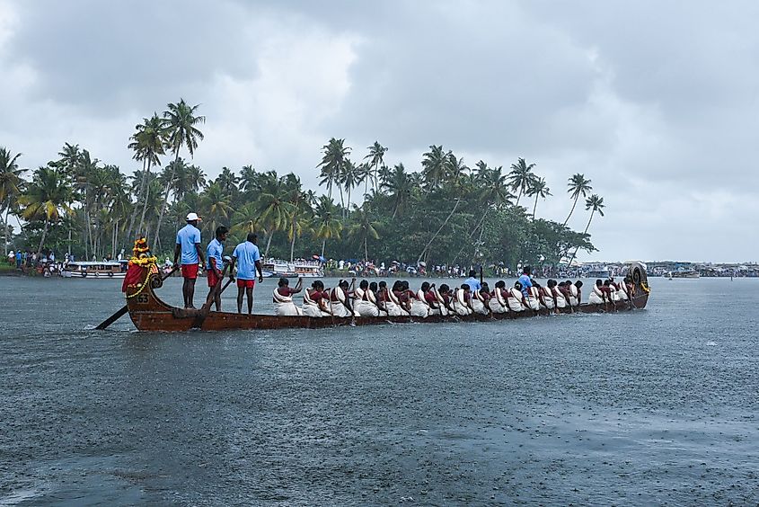 Unidentified woman rowers in Nehru Trophy Boat Race in Alappuzha, Kerala, India.