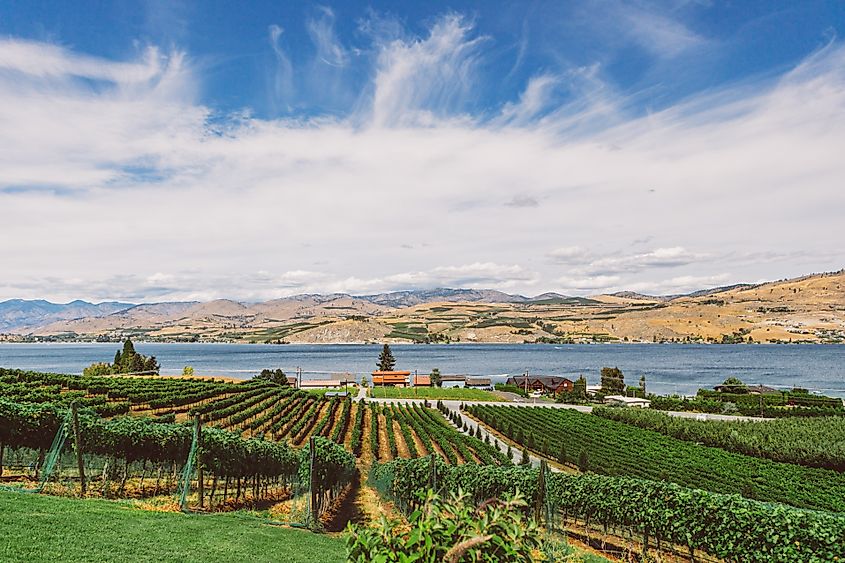 Beautiful view of the winery near the lake Chelan in Washington