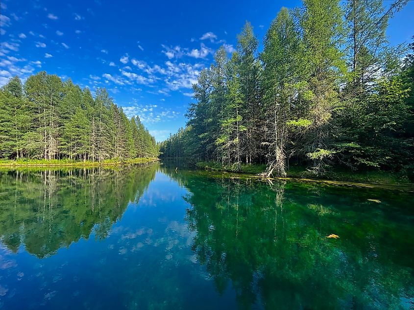 Crystal-clear water at Kitch-iti-kipi natural spring in Michigan reflects a line of tall evergreen trees and a bright blue sky with scattered clouds.