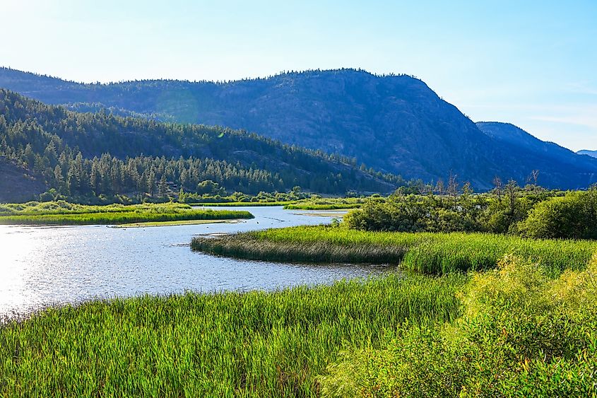 Vaseux Lake Migratory Bird Sanctuary in the Okanagan Valley, British Columbia.