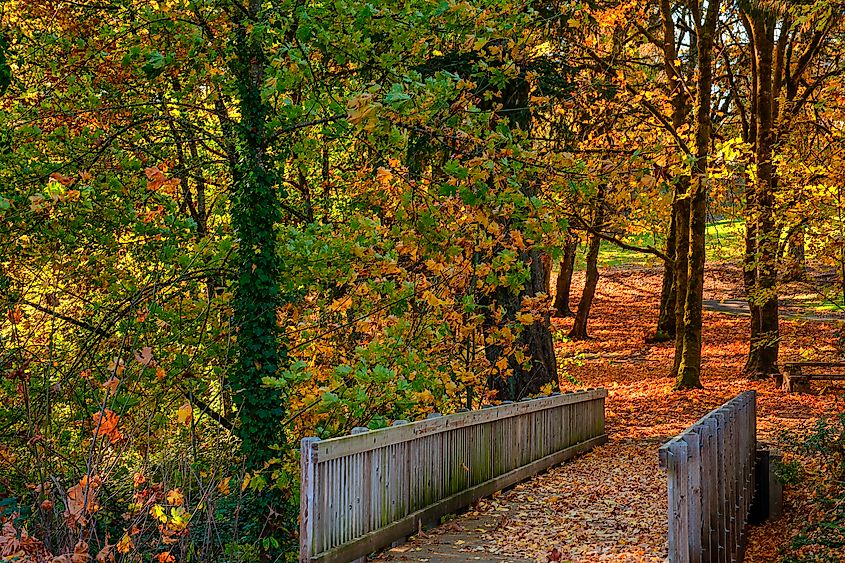 City park in McMinnville, Oregon