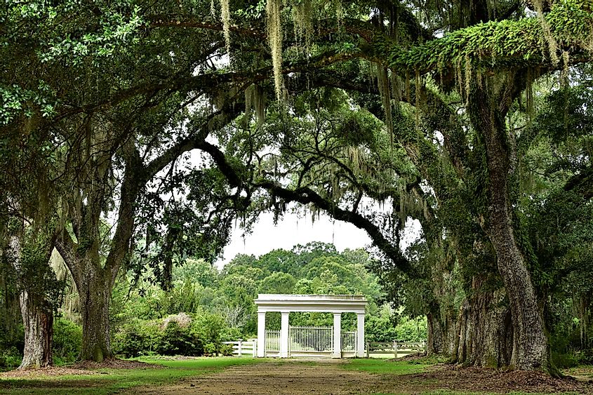 Entrance to Rosedown Plantation State Historic Site in St. Francisville, Louisiana. 