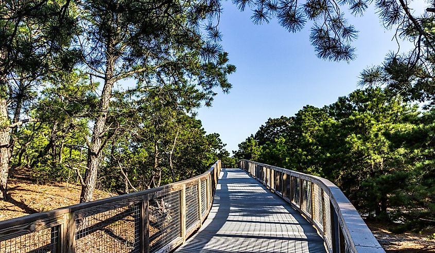 Nature scene at Cape Henlopen State Park and boardwalk