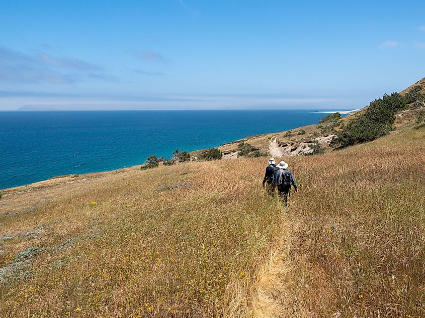 Torry Pines Hike, near Ranch at Bechers Bay Pier on a sunny spring day at Santa Rosa Island