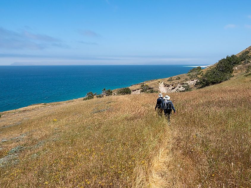 Torry Pines Hike, near Ranch at Bechers Bay Pier on a sunny spring day at Santa Rosa Island.