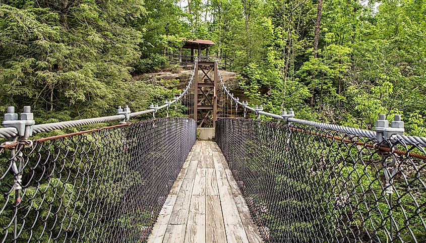 A swing bridge crossing a ravine in Pickett State Park near Jamestown, Tennessee.