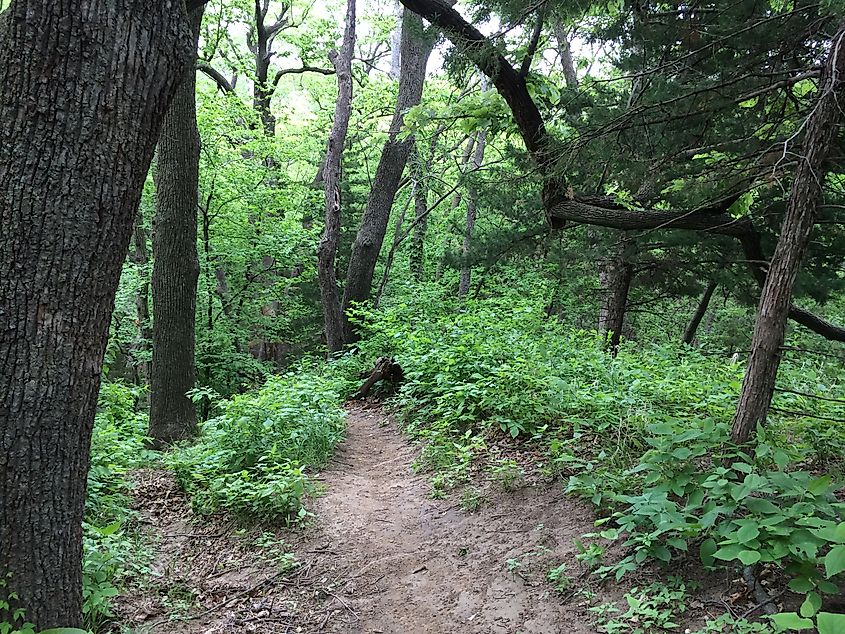 Hiking at Waubonsie State Park, IA.