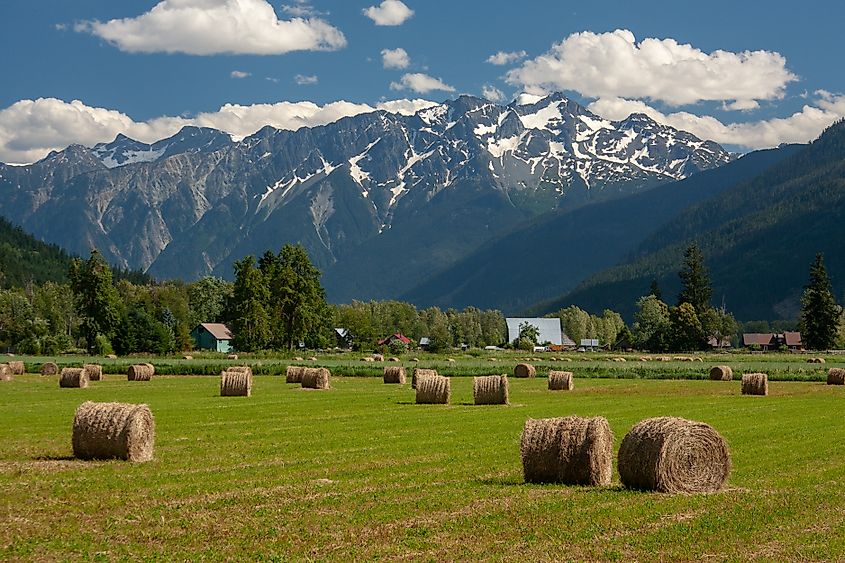 Mount Currie and hay bales, Pemberton, British Columbia, Canada