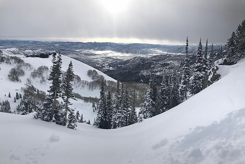 Midvale, Utah winter landscape with snowy mountains, forest, and foggy skies.