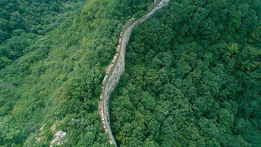 The wall acts as a barrier to genetically separate plants