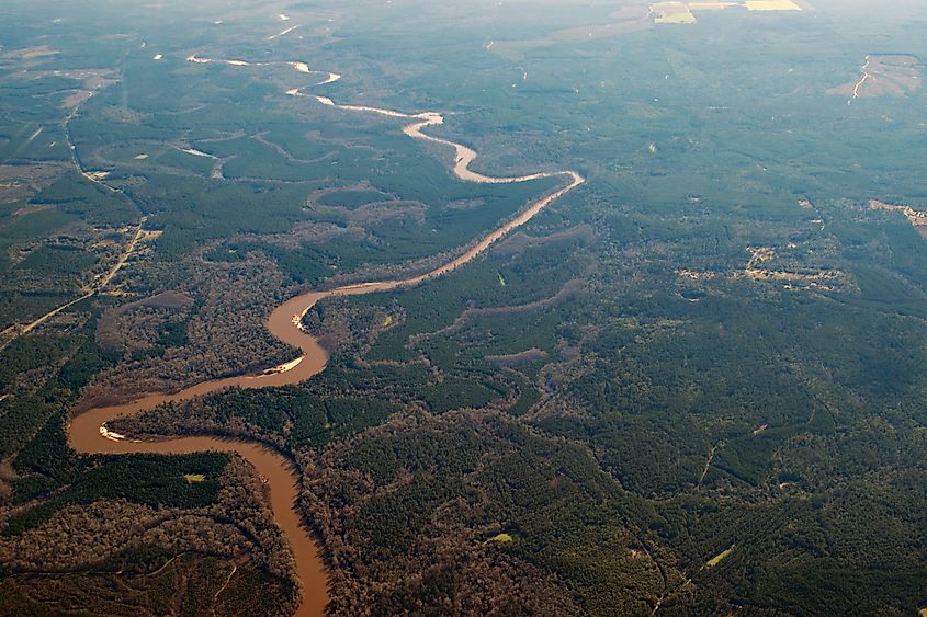 Conecuh River near Brewton, Alabama 