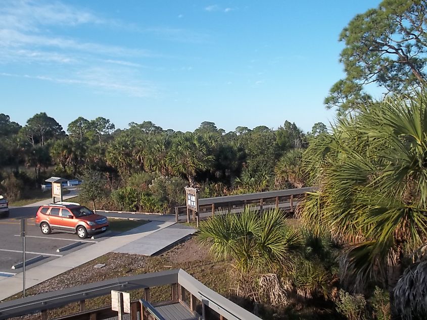 Werner-Boyce Salt Springs State Park near Port Richey.