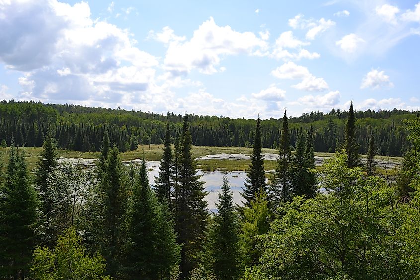 Sullivan's Bay Trail, Voyageurs National Park