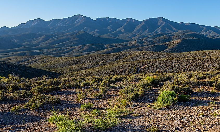 The La Madre Mountain Range, Red Rock Canyon National Conservation Area, Nevada