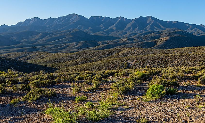 The La Madre Mountain Range, Red Rock Canyon National Conservation Area, Nevada