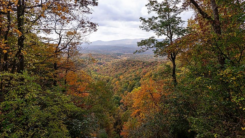 Amicalola Falls State Park in north Georgia.