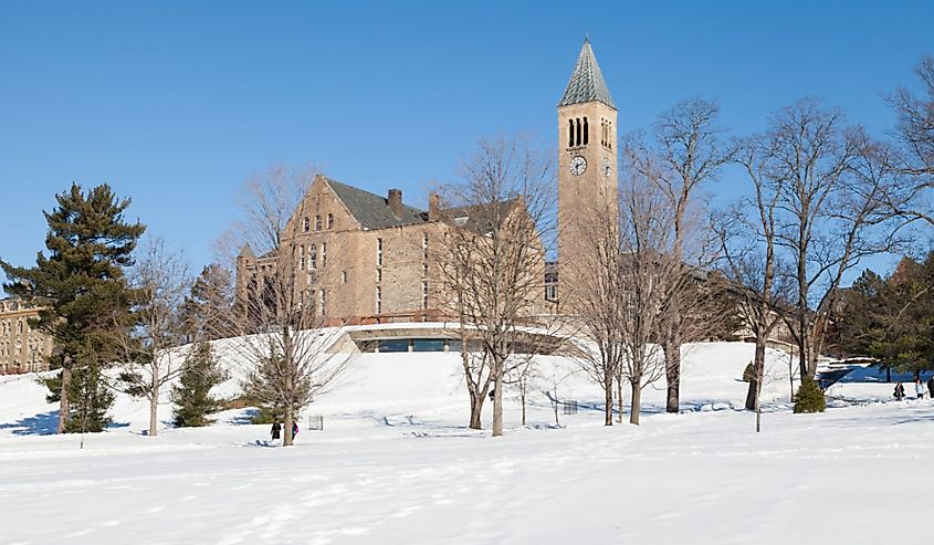 Uris Library and Mcgraw tower in white snow, Cornell University, Ithaca