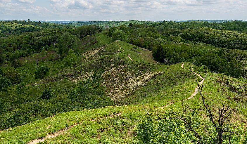 Scenic Overlook near Preparation Canyon State Park along the Loess Hills National Scenic Byway, Iowa
