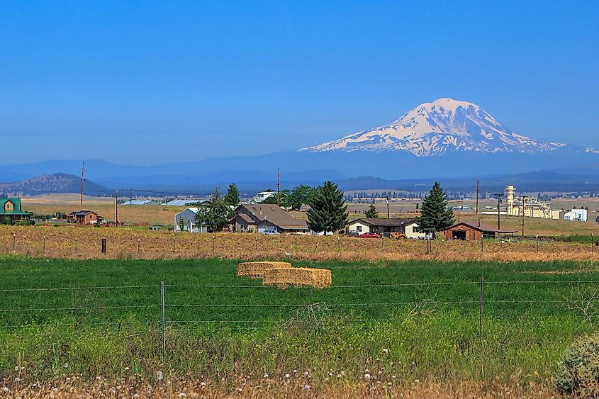 Scenic countryside near Goldendale, Washington.