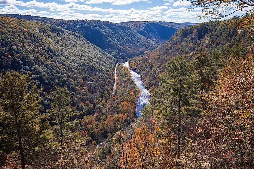 Fall foliage colors at Leonard Harrison State Park. Pine Creek Gorge, the Grand Canyon of Pennsylvania