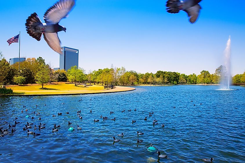 McGovern Lake in Houston, Texas