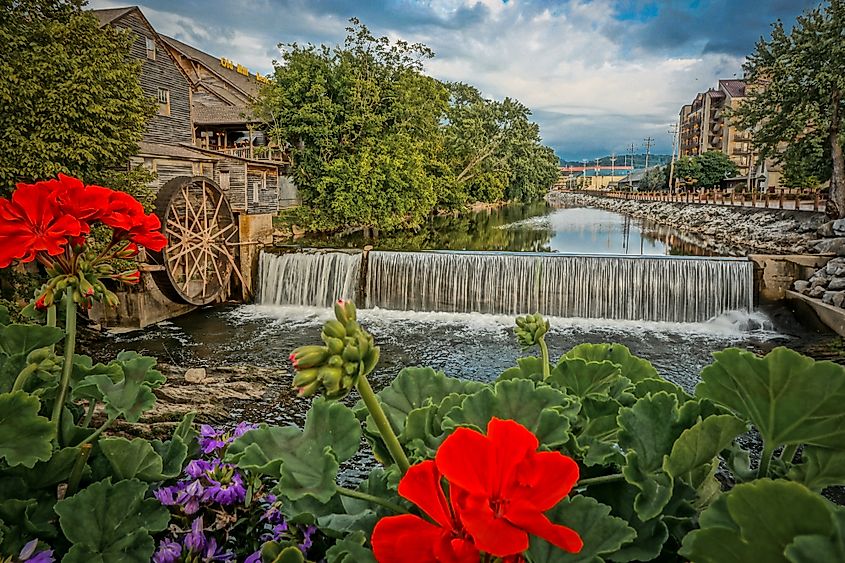 Pigeon forge