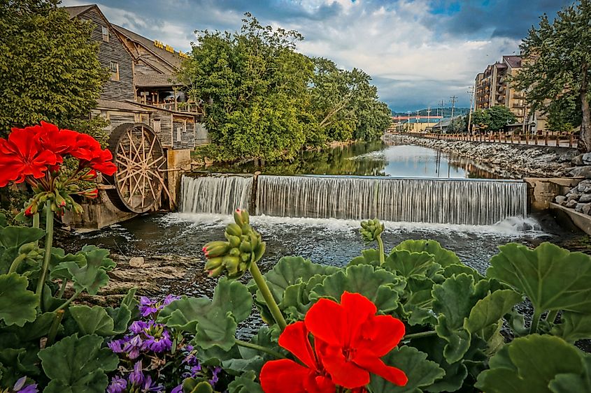 Pigeon forge