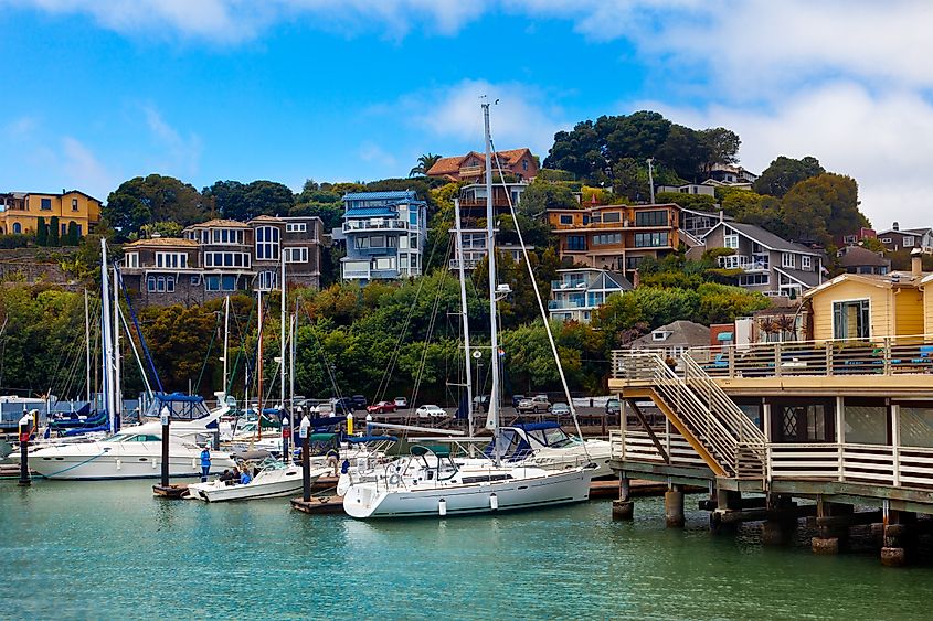 Yacht harbor and waterfront in Tiburon, California.