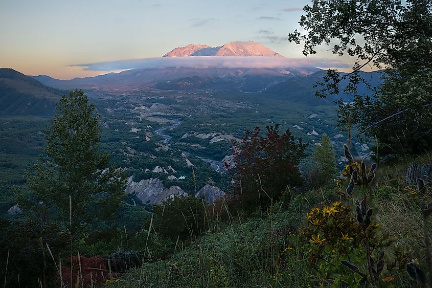 A sunset view of Mount Saint Helens. Photo by Brendan Cane