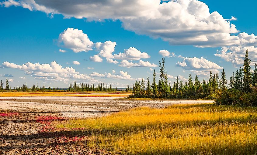 Wetland and grassland in Wood Buffalo National Park, Alberta.