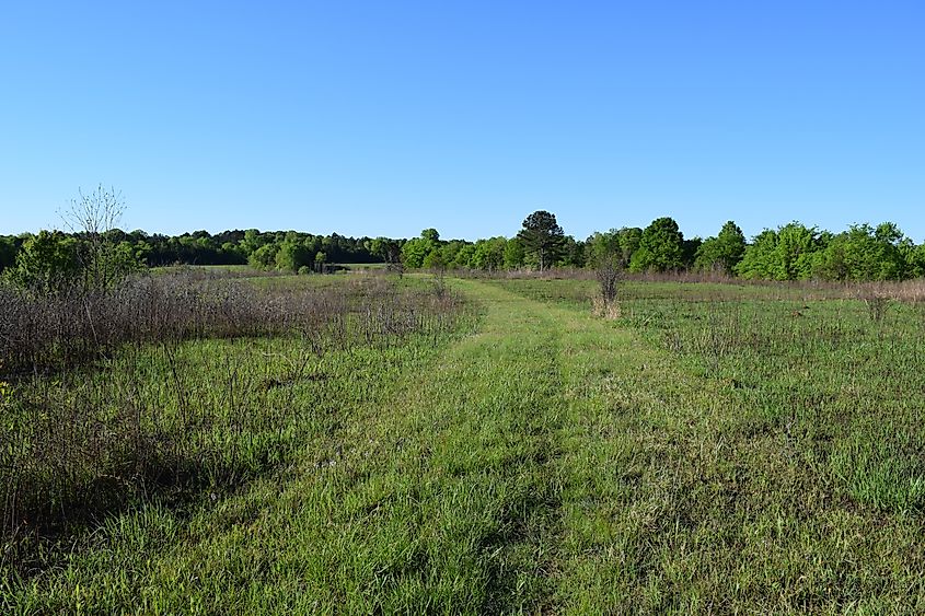 Natchez Trace Trail through grassland in Mississippi.