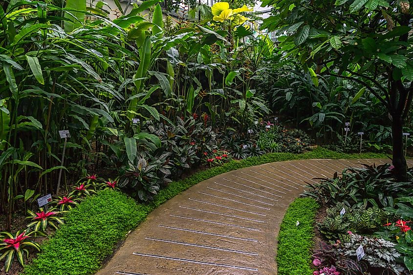 Hong Kong Park conservatory