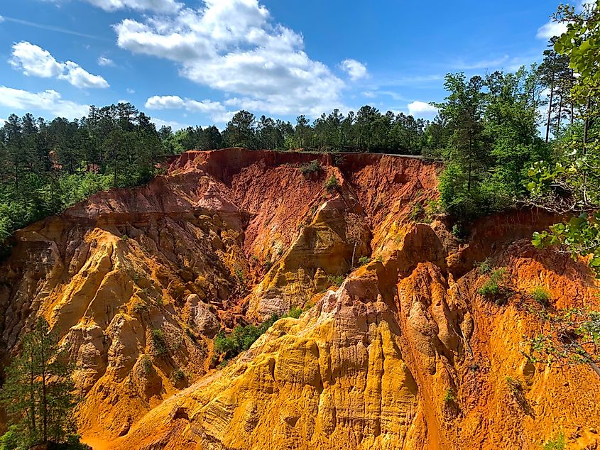 The Red Bluff Canyon of Mississippi.