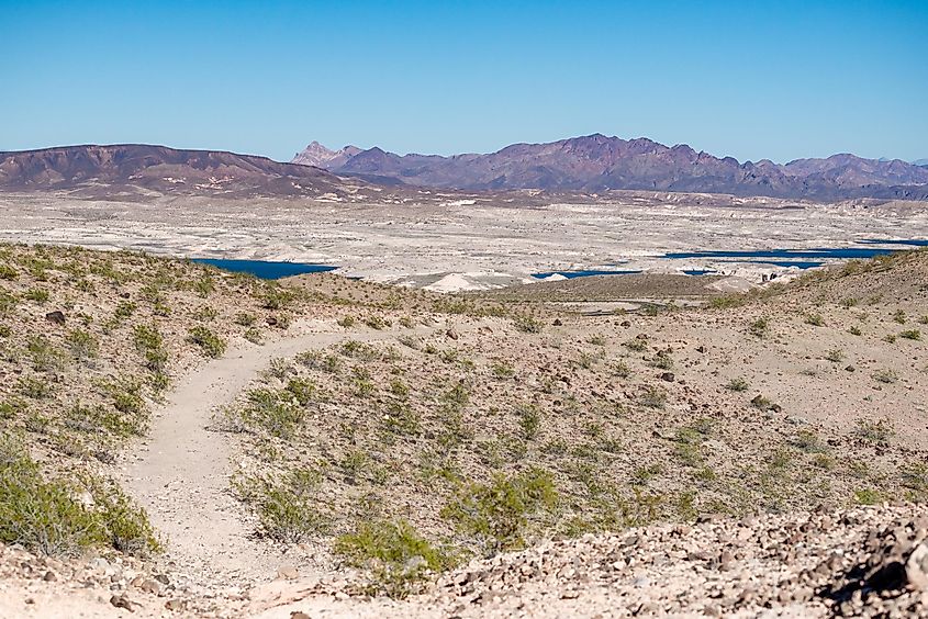 Purple Mountains in the distance seen from White Owl Canyon Trai