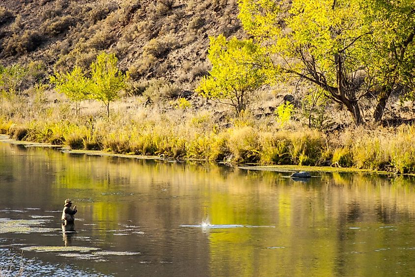 Fly fishing on Owyhee River in Eastern Oregon, near Boise, Idaho