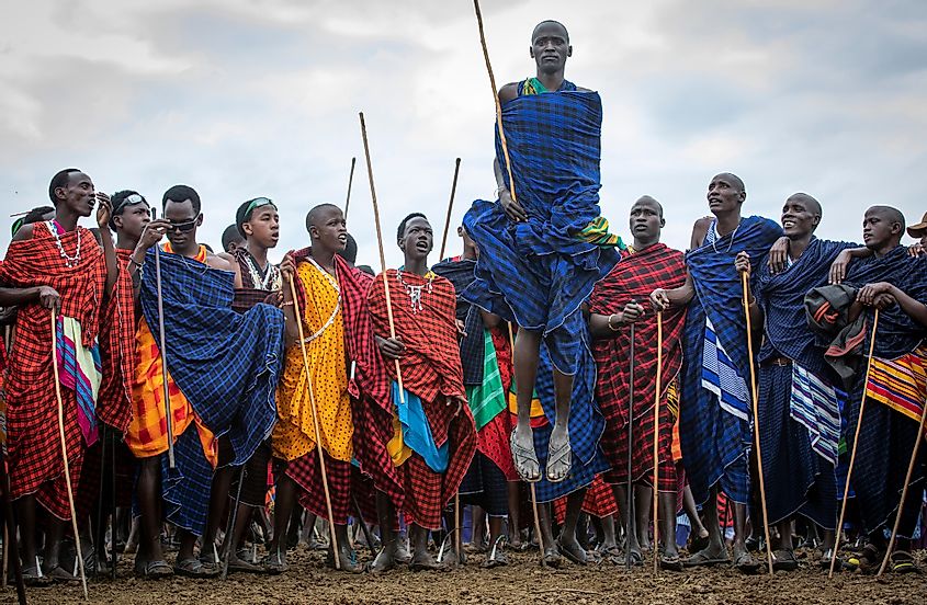 Maasa Africa