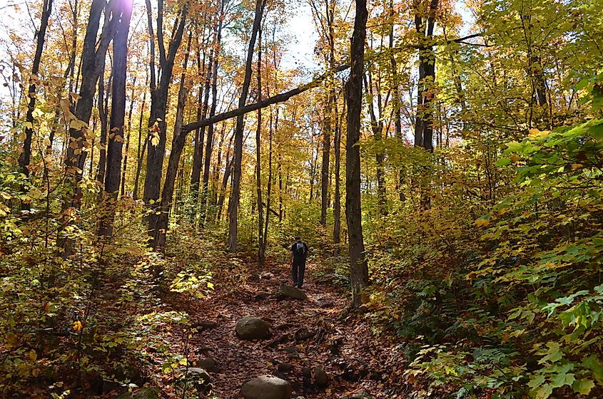 Centennial Ridges trail