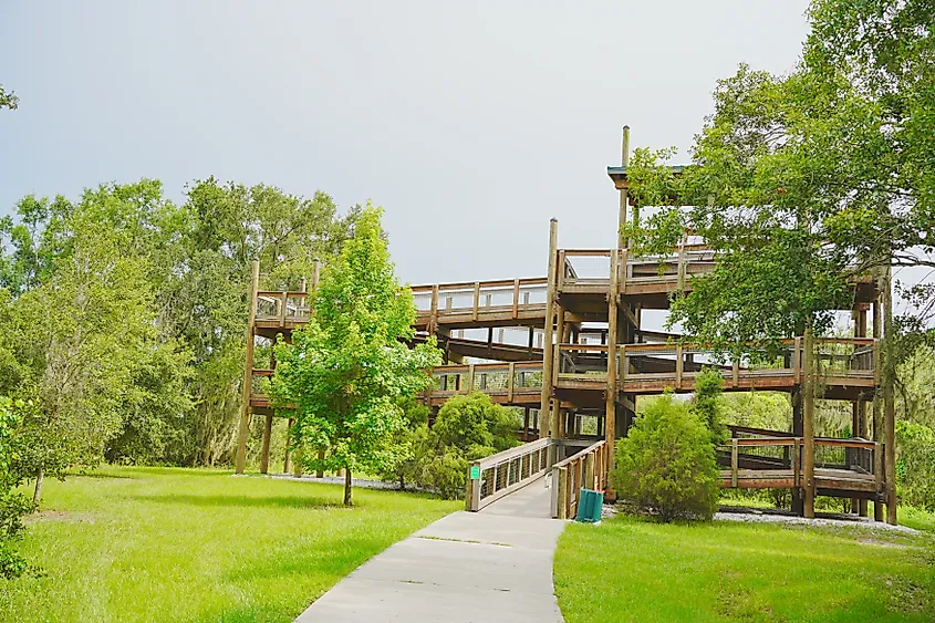 The landscape of Edward Medard Conservation Park in Plant City close to Tampa.