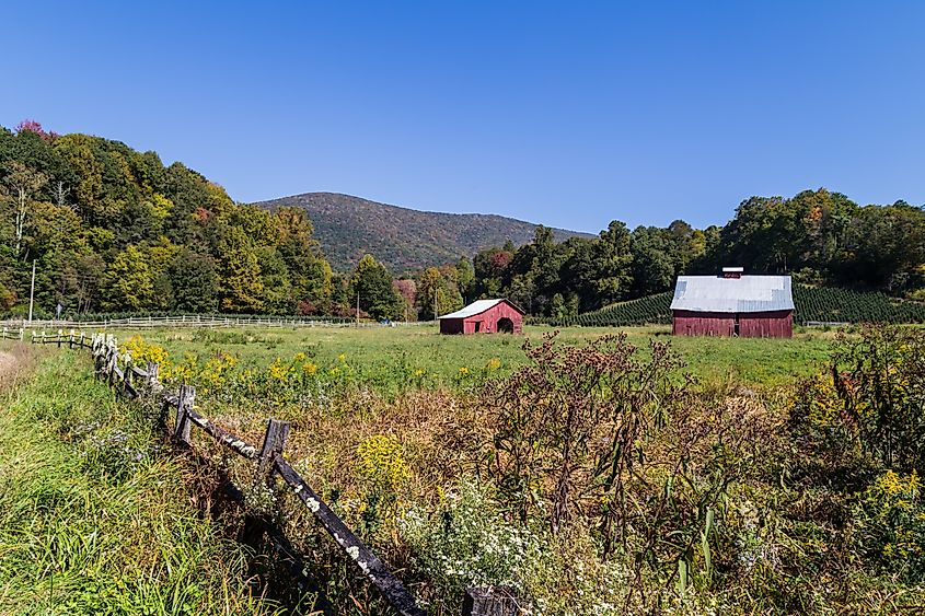 The Virginia Creeper National Recreation Trail in autumn in Abingdon, Virginia.