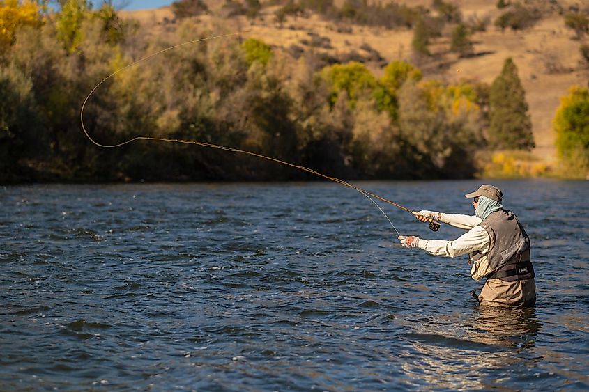 fishing in Bass lake